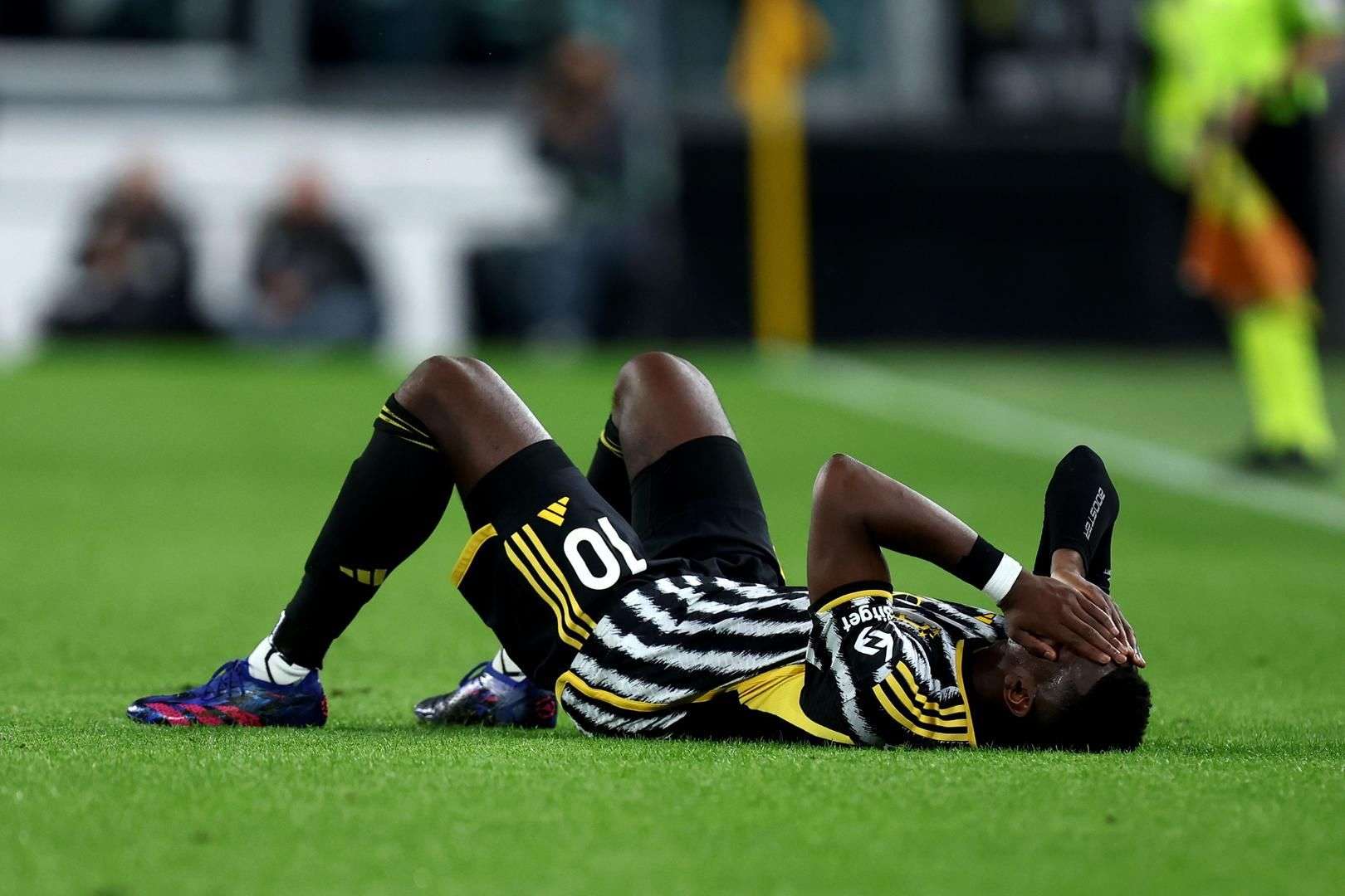 杏仁油设备 植物油脂成套设备